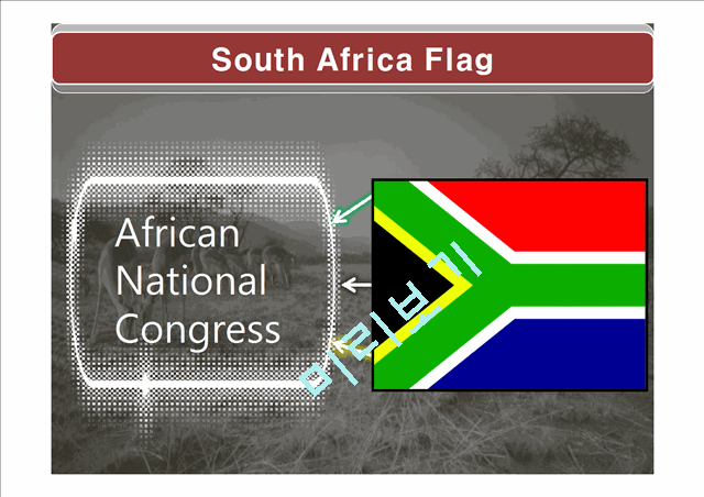 Republic of South Africa analysis   (2 )